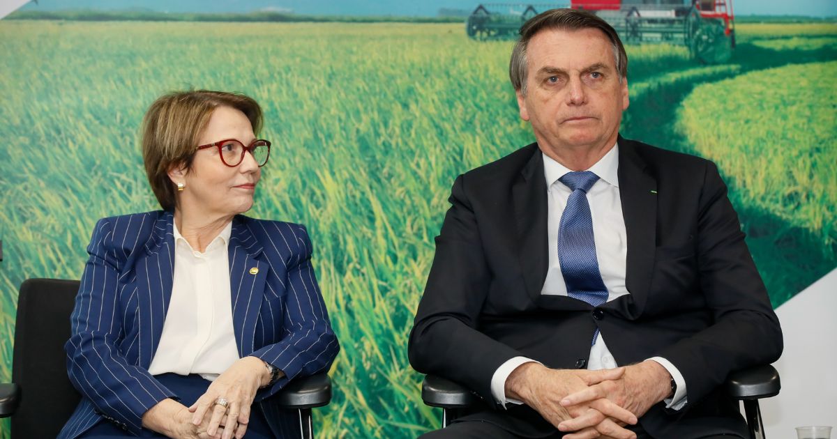 BNDES de Bolsonaro abandona indústria para investir no agro